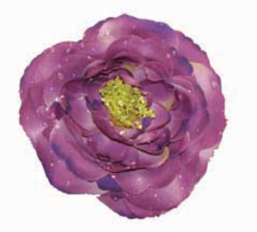 Picture of 4.5"FLOATING TEAROSE/1F/BAG