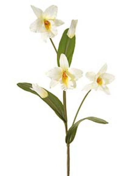 Picture of CATTLEYA SPRAY-SM.