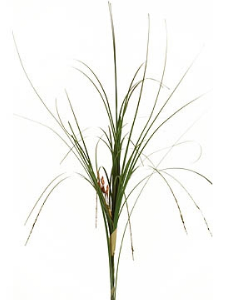 Picture of PVC ONION GRASS