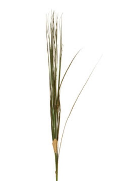 Picture of PVC ONION GRASS