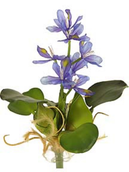 Picture of FLOATING LG. WATER HYACINTH