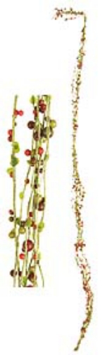 Picture of 6' BERRY VINE GARLAND