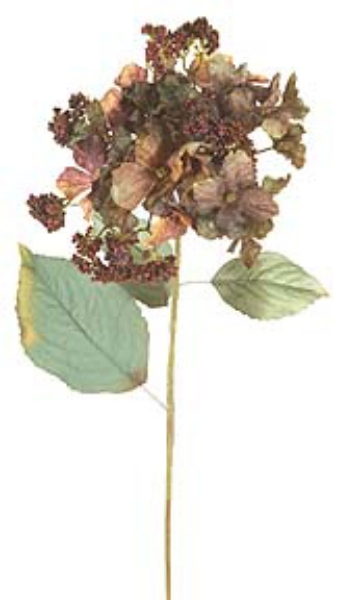 Picture of 31" HYDRANGEA STEM W/BERRY