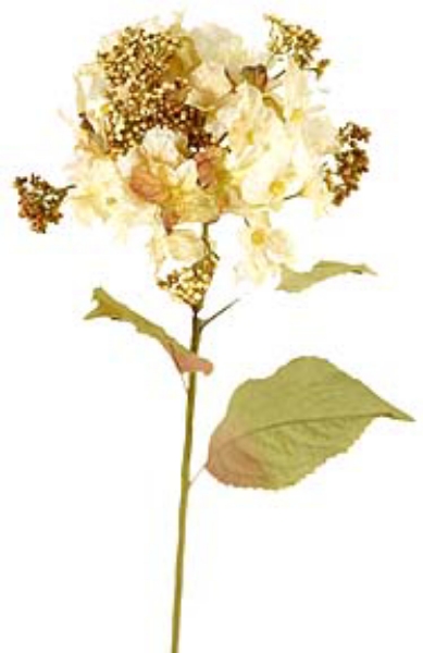 Picture of 31" HYDRANGEA STEM W/BERRY