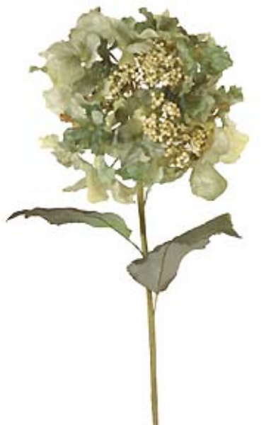 Picture of 31" HYDRANGEA STEM W/BERRY