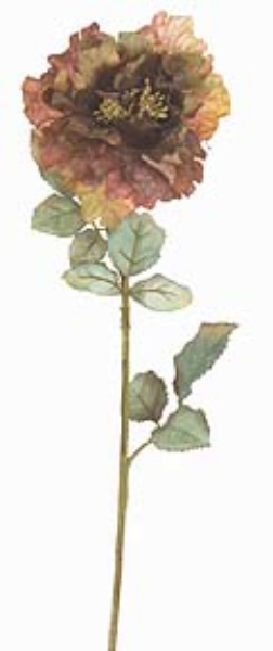 Picture of 29" TEA ROSE STEM