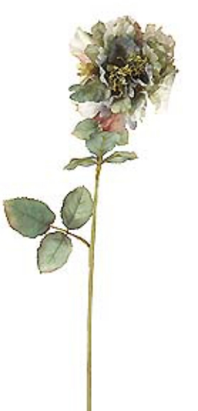 Picture of 29" TEA ROSE STEM