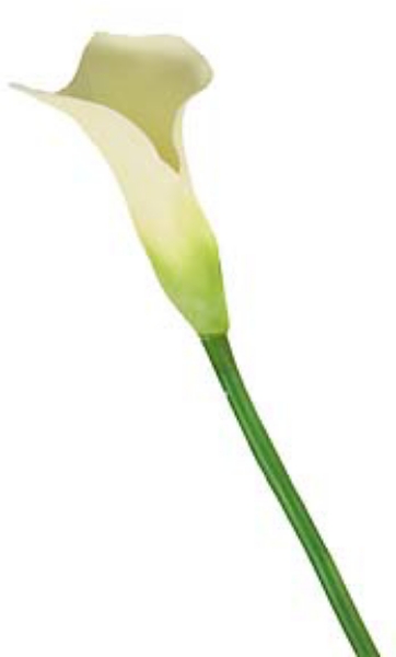 Picture of 40" CALLA LILY STEM