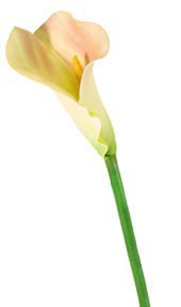 Picture of 40" CALLA LILY STEM