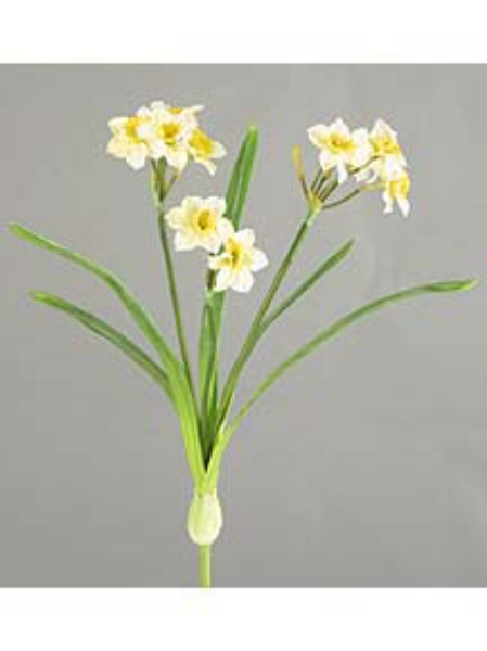 Picture of 21" NARCISCUS BUSH X3,9F5B