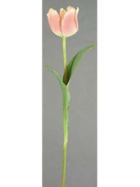 Picture of 29" LG. TULIP STEM