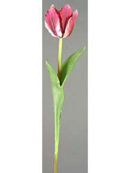 Picture of 29" LG. TULIP STEM