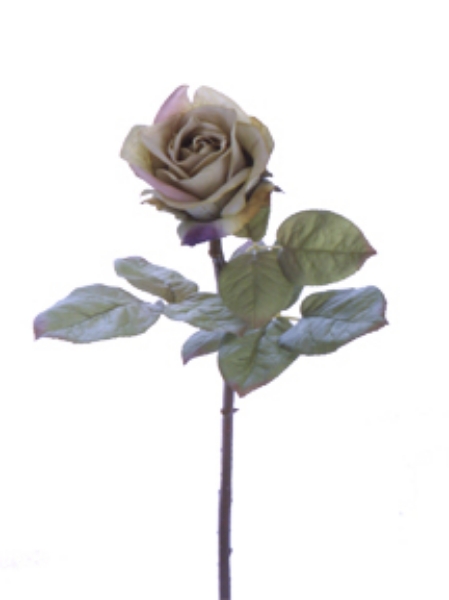 Picture of 29" ITALIAN ROSE SPRAY