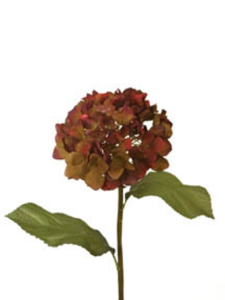 Picture of 24" HYDRANGEA SPRAY S