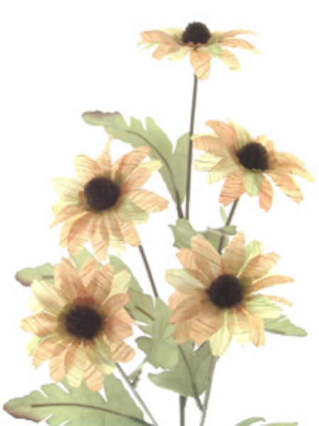 Picture of MINI SUNFLOWER SPRAY