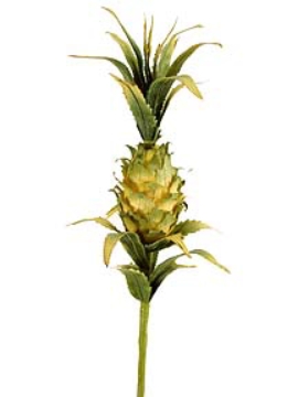 Picture of ANANAS X 1