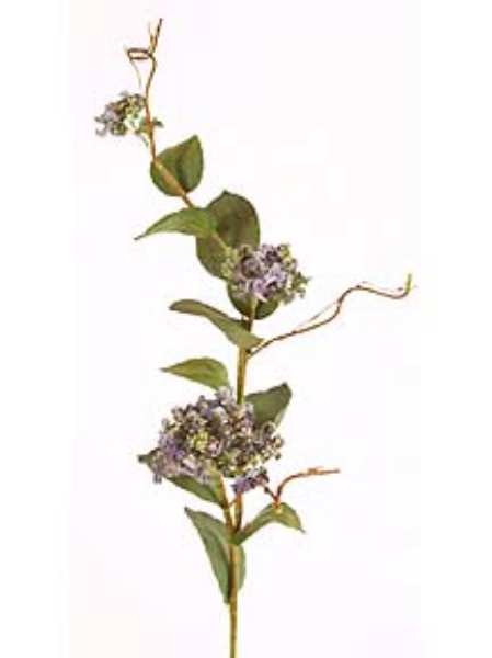 Picture of HYDRANGEA SPRAY