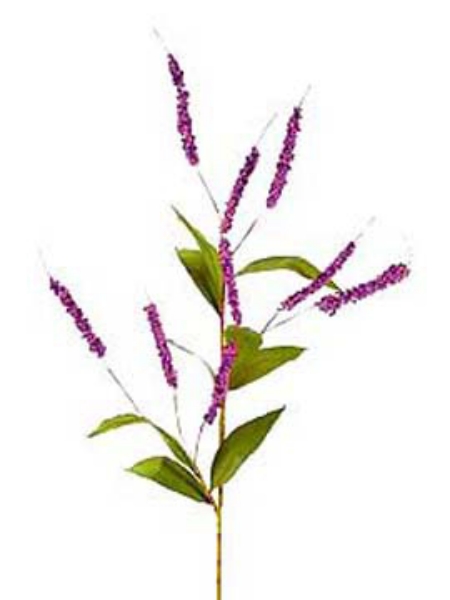 Picture of BEAUTY BERRY SPRAY X9