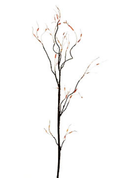 Picture of TWIG