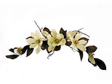 Picture of MAGNOLIA SWAG X 7