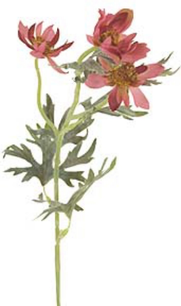 Picture of COSMOS SPRAY 3F