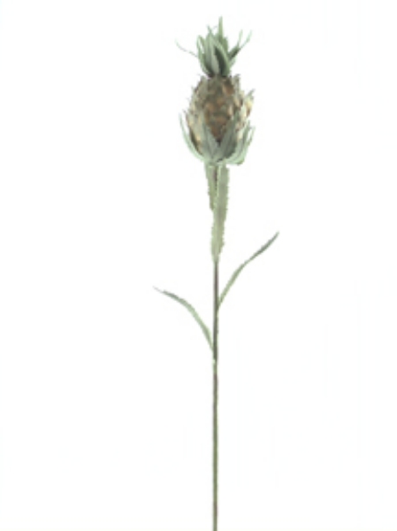 Picture of PINEAPPLE STEM SM