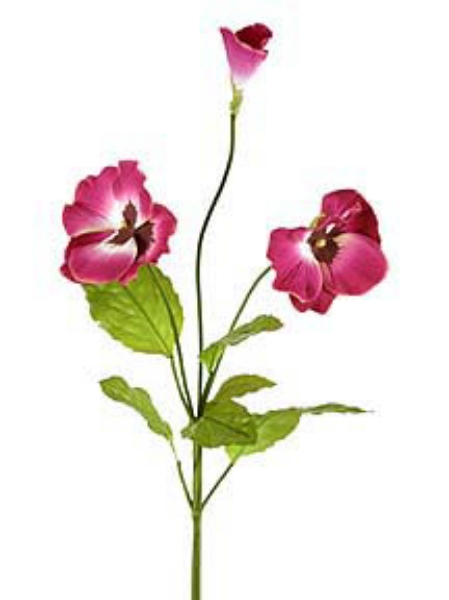 Picture of PANSY SM.,2F,1B,6LVS