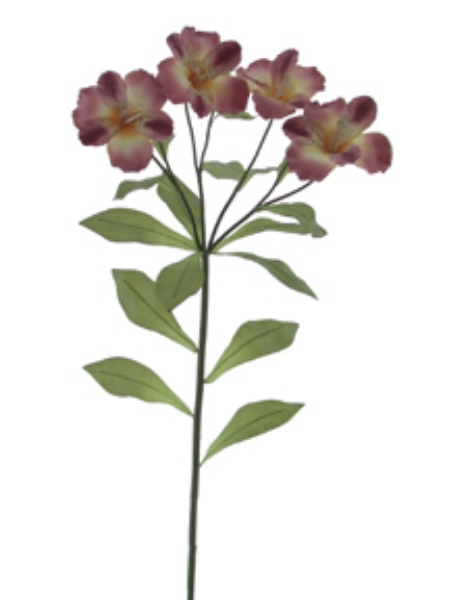 Picture of ALSTROMERIA 4F,3B,16LVS