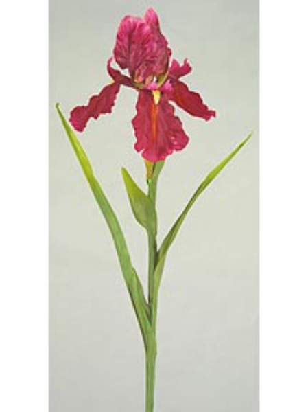 Picture of IRIS-MED