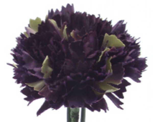 Picture of CARNATION SPRAY