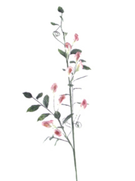 Picture of SWEET PEA SPRAY