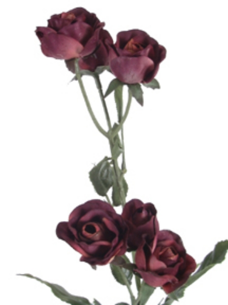 Picture of ROMANTICA MINI ROSE X 6