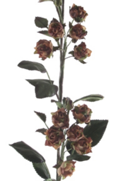 Picture of RAMBLING ROSE SPRAY