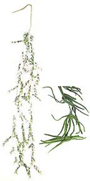 Picture of TASSEL FERN GARLAND-5'