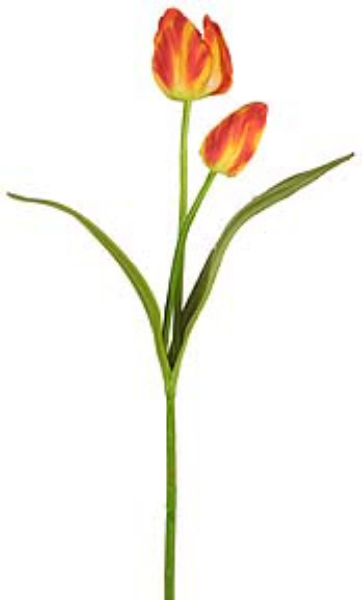 Picture of SMALL TULIP W/BUD