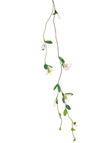 Picture of 44" HONEYSUCKLE VINE