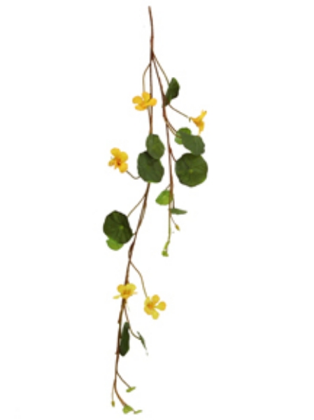 Picture of 41" NASTURTIUMS 5F 17L 1B