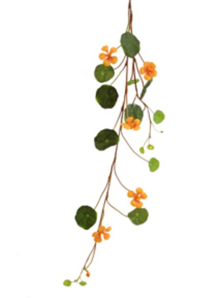 Picture of 41" NASTURTIUMS 5F 17L 1B