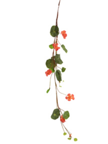 Picture of 41" NASTURTIUMS 5F 17L 1B