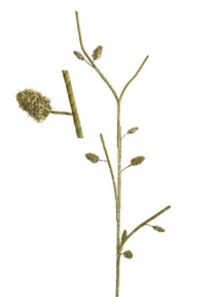 Picture of LG PUSSY WILLOW