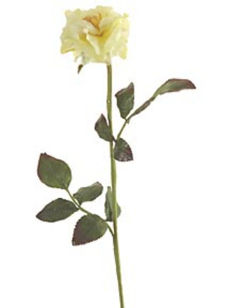 Picture of SM ROSE STEM