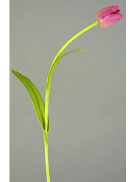 Picture of 21" MINI TULIP SPRAY 1F2LVS