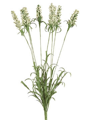 Picture of TIMOTHY PALM SPRAY