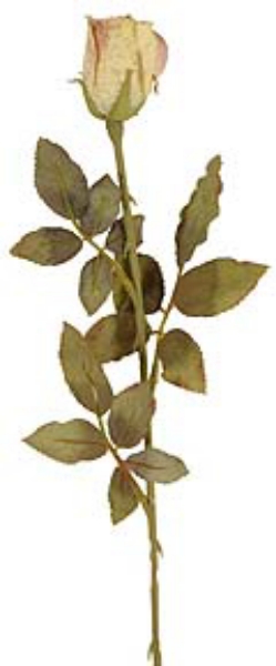 Picture of DRIED ROSE BUD X 1