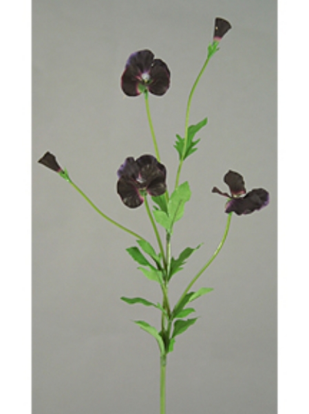 Picture of PANSY SPRAY X 2 3F,2B,10LVS