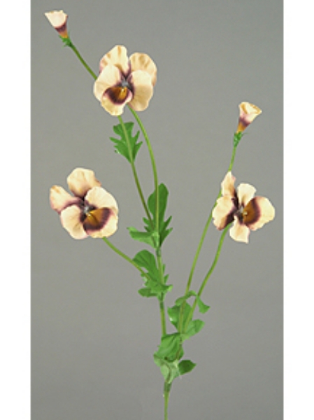 Picture of PANSY SPRAY X 2 3F,2B,10LVS