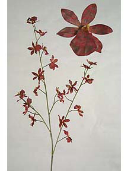 Picture of ORCHID SPRAY