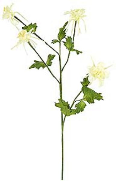 Picture of COLUMBINE X 3