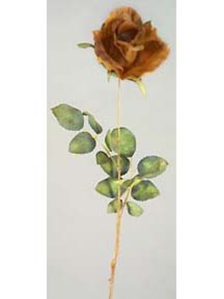 Picture of SINGLE MED. ROSE W/3LVS.