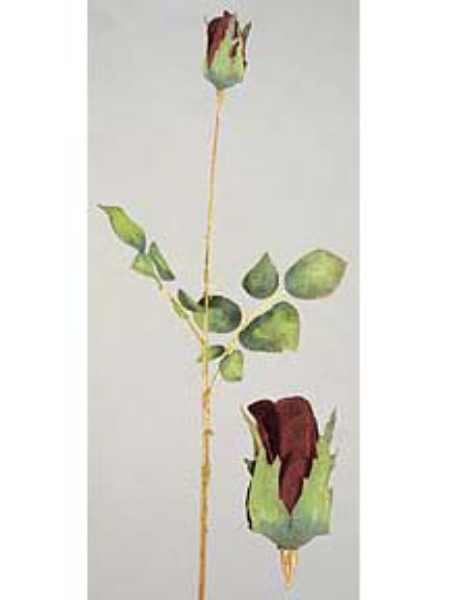 Picture of SINGLE ROSE BUD W/2SETS LVS